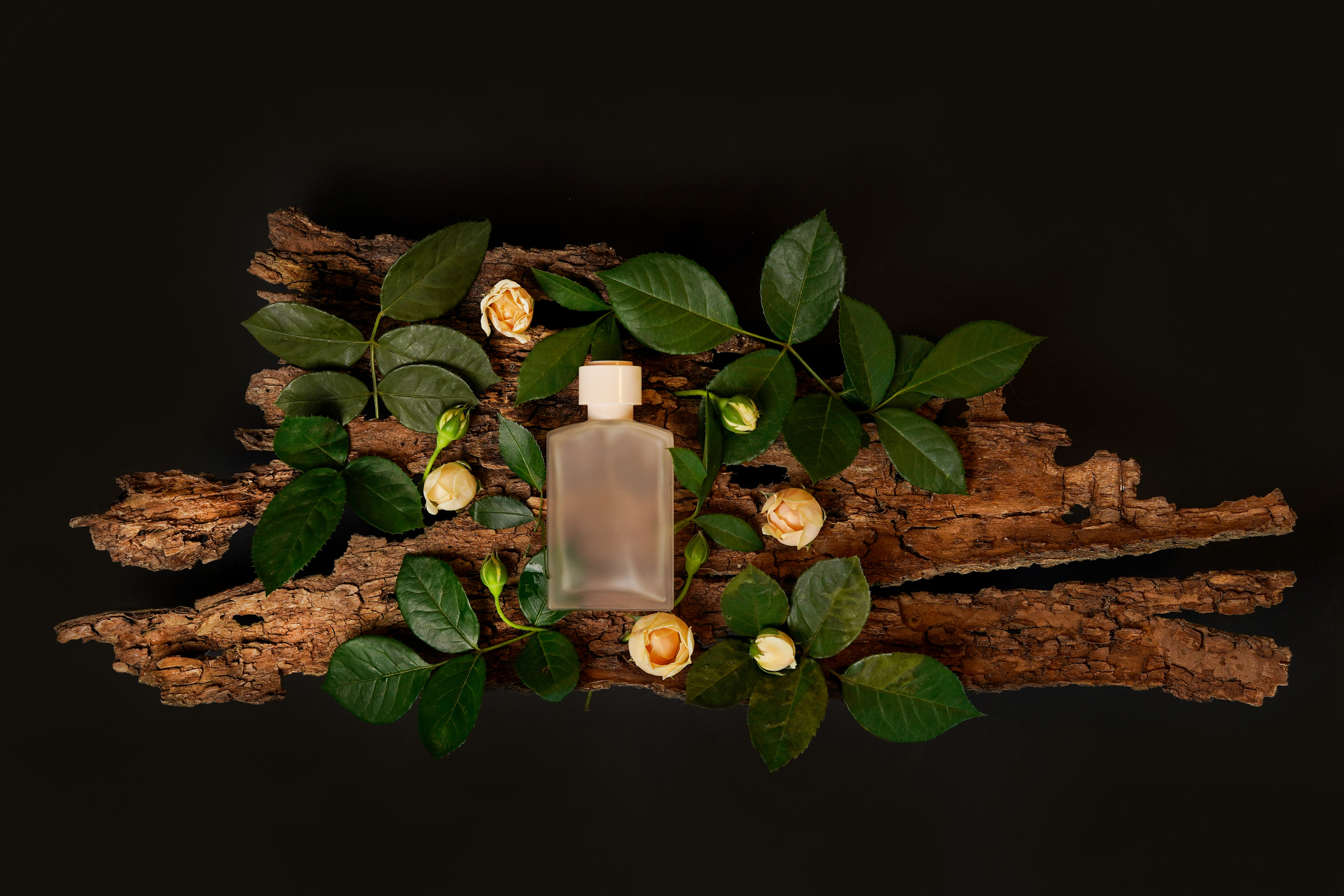 Natural perfume glass bottle on wood with flowers and green leaves on black background
